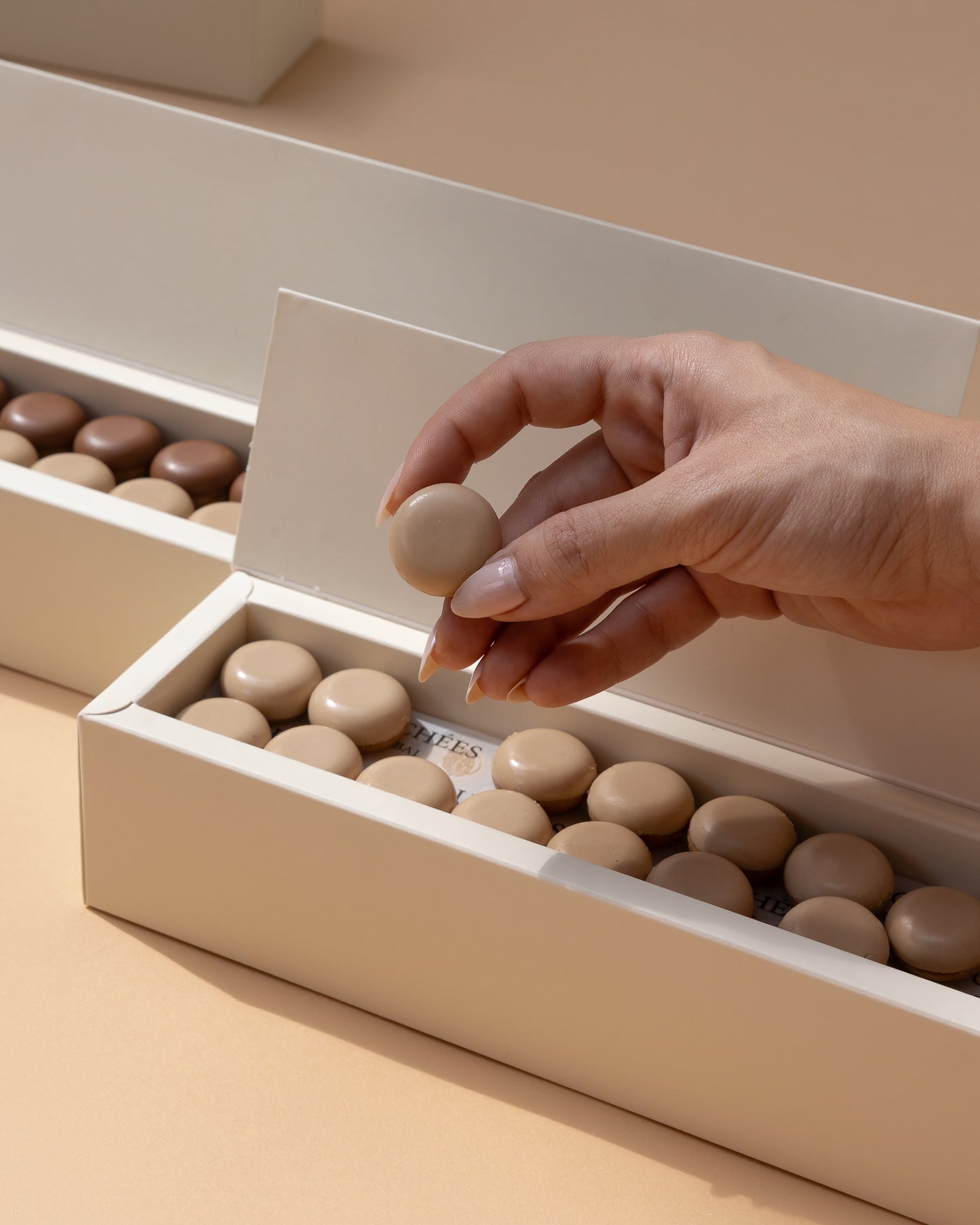 Tiramisu Delight | Limited Edition